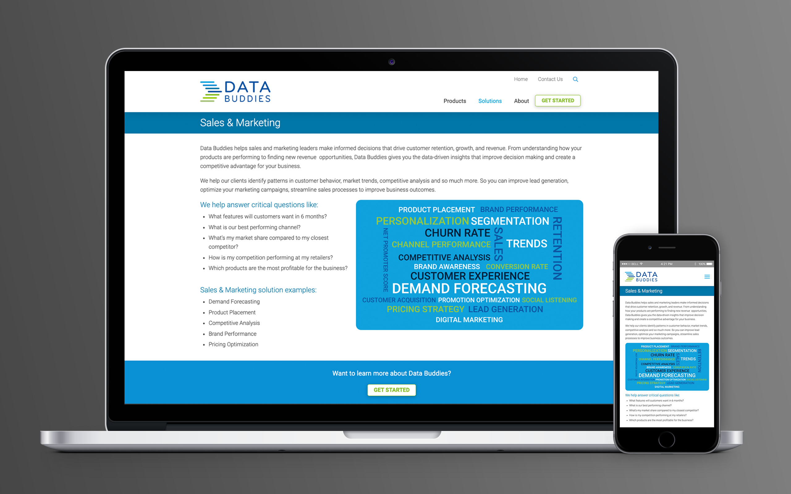Data Buddies Website Sales & Marketing